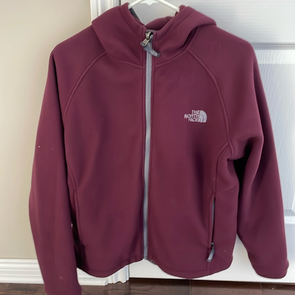 The Northface Hooded Fleece Jacket